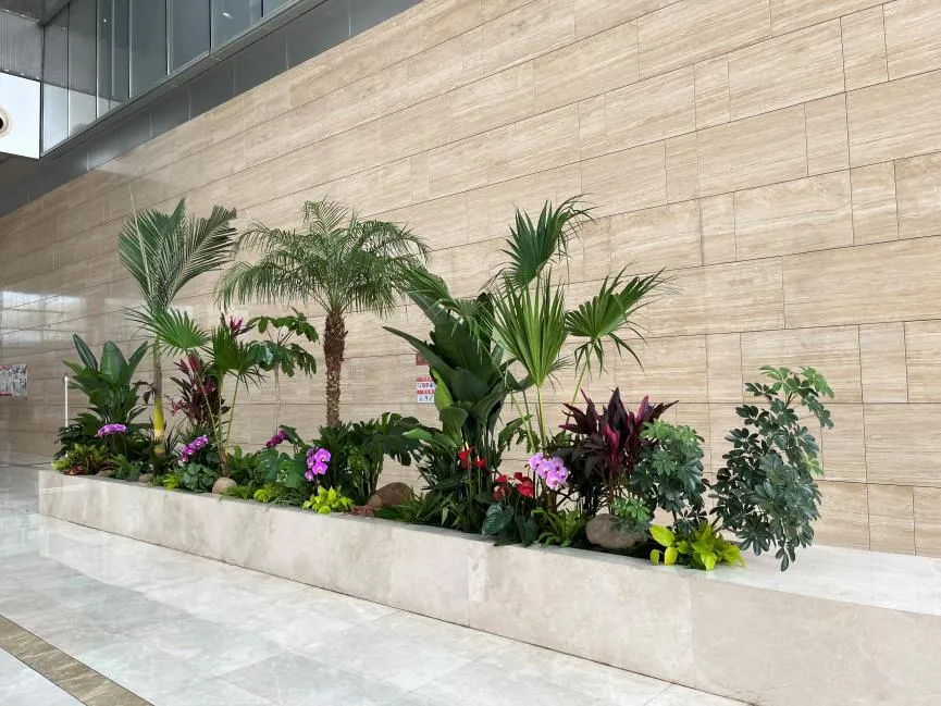 宁波江北植物出租哪家好